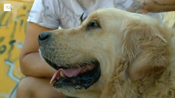 "Mi fido di te”: quando la fiducia diventa rinascita.